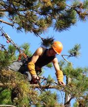 Nature Domestiquee image 18