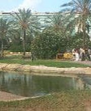 Agente Inmobiliario Silvana Bendahan Gloria imagen 8