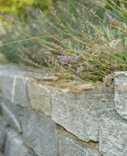 Garten & So Bild 3