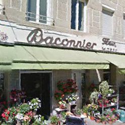 Baconnier Fleurs