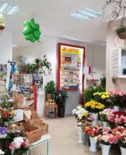 Blumenparadies Fischer & Mirr GbR Bild 3