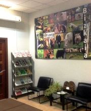 Lorra S. Coop. imagen 16