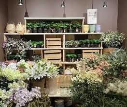 Søstrene Grene Bild 17