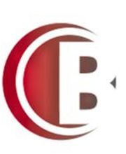 B Consulting image 1