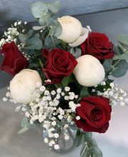 Morisset Sylvie image 8