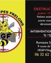 Berry Guêpes Frelons image 1