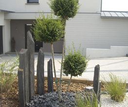 Vert Cleres image 6