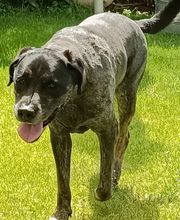 Ettel Elke Tierarztpraxis Bild 1