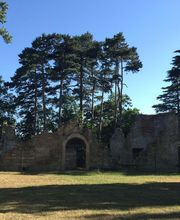 Kokon Immobilier image 17