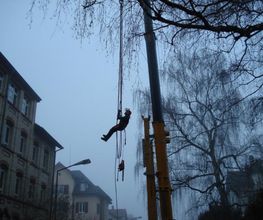 Hatt Gartenbau Bild 8