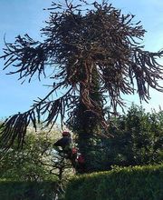 Naturelagage image 2