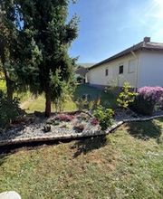 Grundstückspflege und Motorsägenkunst Colin Sand Bild 3