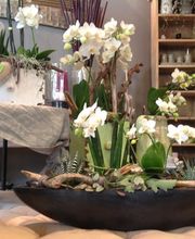 Style Fleurs di Andreetta Isab Bild 1