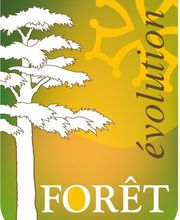 Fôret Evolution image 1