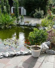 Cipolletta, Ciro Bild 3