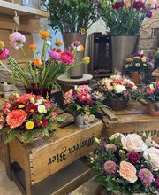 Fleurs d'Elfes Bild 7