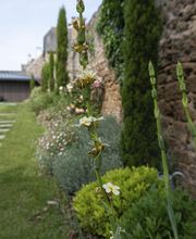 Emeraude Jardins image 5