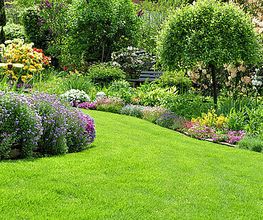 csm_gartenpflege_6884567_800_303f9b9c82.jpg