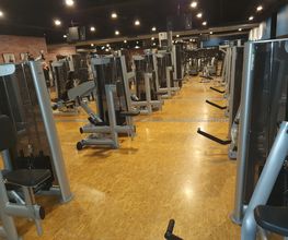 Mcfit9.jpg