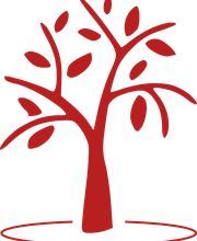 Franziska Hollmann Praxis für Kinder- und Jugendpsychotherapie Bild 1