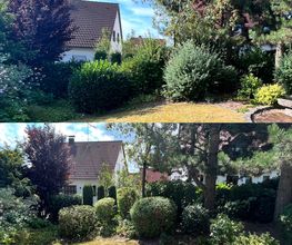 Gartenservice Mark Miess Bild 34