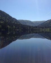 CAMPING LES JONQUILLES image 14