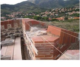 Planas Francis image 3