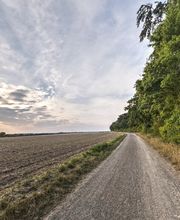 FriedWald Wolfenbüttel Bild 3