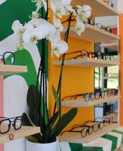 Les Lunettes de Fulbert image 1