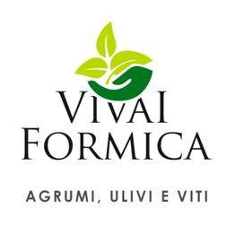 Formica Pietro Tindaro logo