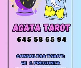 229337126-2-0TYPx5KWmJ1790758562160.jpeg