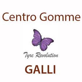Centro Gomme Galli logo