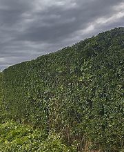 SARL Beton-veyrier image 1