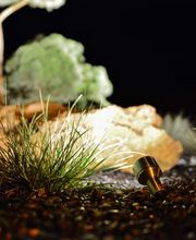 Kallen Gartenbau und Unterhalt Bild 11