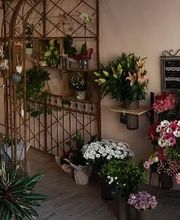 Dentelle De Fleurs image 7