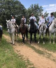 Picadero Escuela Las Cruces imagen 3