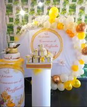 Gallery Professionale