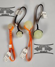 Zoo-Shop GmbH & Swissdogbox.ch Bild 14