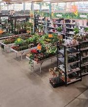 HORNBACH Gartencenter Wolfsburg Bild 3