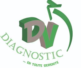 DV DIAGNOSTIC image 3