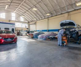 Gallery Professionale