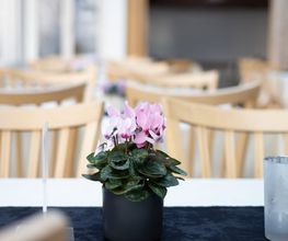 Restaurant Sopra Bild 9