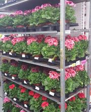 Bricomarché Caudry image 15