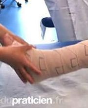 Thalmann Stamm Sabine image 5