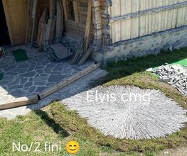 ELVIS CMG image 1