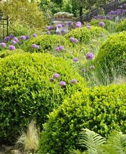 AB JARDIN SARL Bild 2