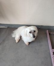 Tootsie image 14