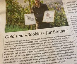 Steimer Weinbau Bild 7