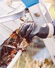 Espace Vert Mc image 8