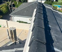 233088087-1-qlIFE9b6NP1698676265499.jpeg